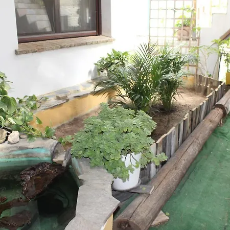 Casa Rural Los Pepe Sancti Petri-3